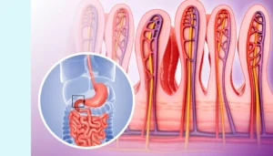 Sprawne jelita warunkują dobre odżywianie