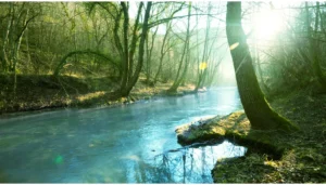 Często nie chcemy zmiany, choć za zakrętem czeka piękna łąka i słońce...