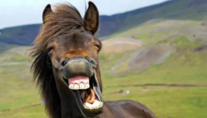 Read more about the article Zdrowie ma wiele poziomów