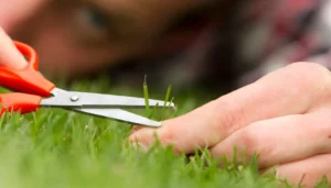 Read more about the article Do wypalenia przez perfekcjonizm