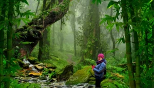 Przy jelicie drażliwym dobrze robią spacery po lesie