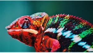 Read more about the article Zmiany nie są takie straszne