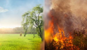 Read more about the article Ukryty stan zapalny – cichy wróg Twojego zdrowia.