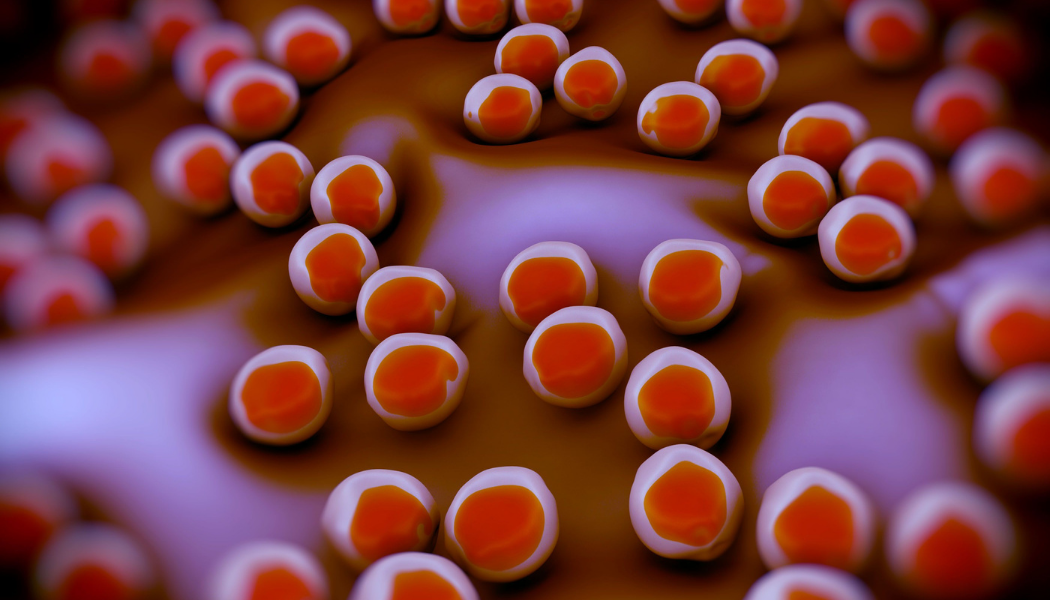 Read more about the article MegaSporeBiotic™ — nowoczesne wsparcie dla Twoich jelit.